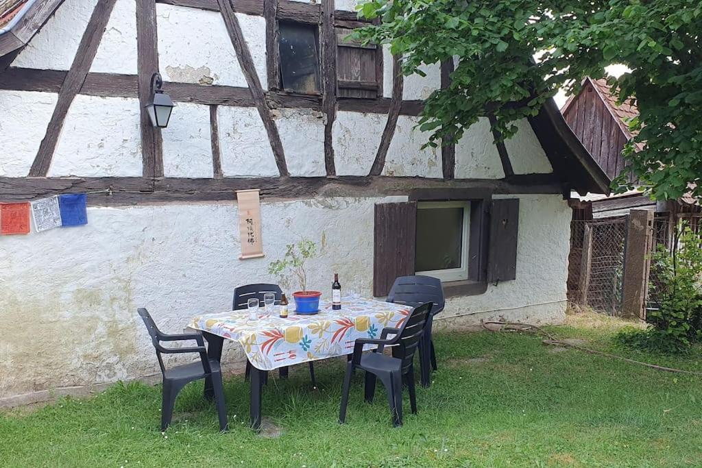 Le Berger Du Salzbach Romanswiller Exterior foto
